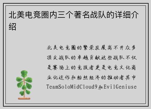 北美电竞圈内三个著名战队的详细介绍